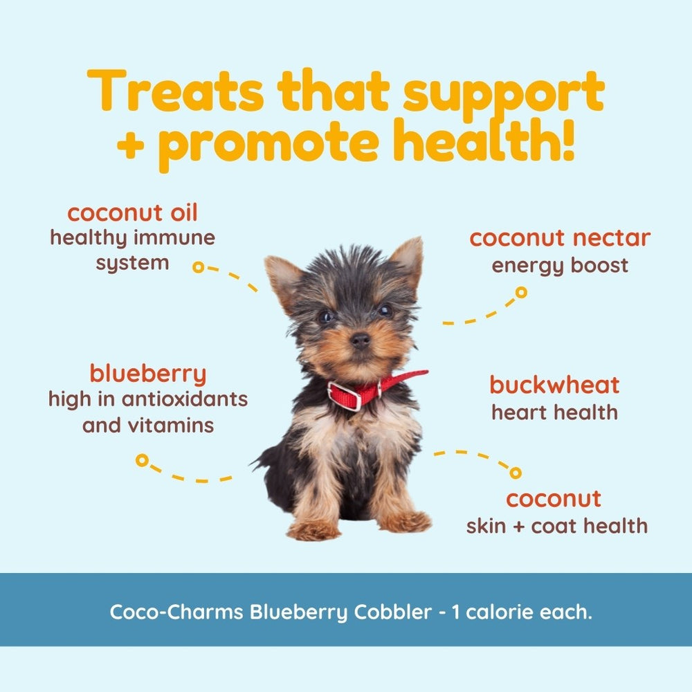 
                  
                    coco therapy - Coco-Charms Training Treats – Blueberry Cobbler, 5 oz
                  
                