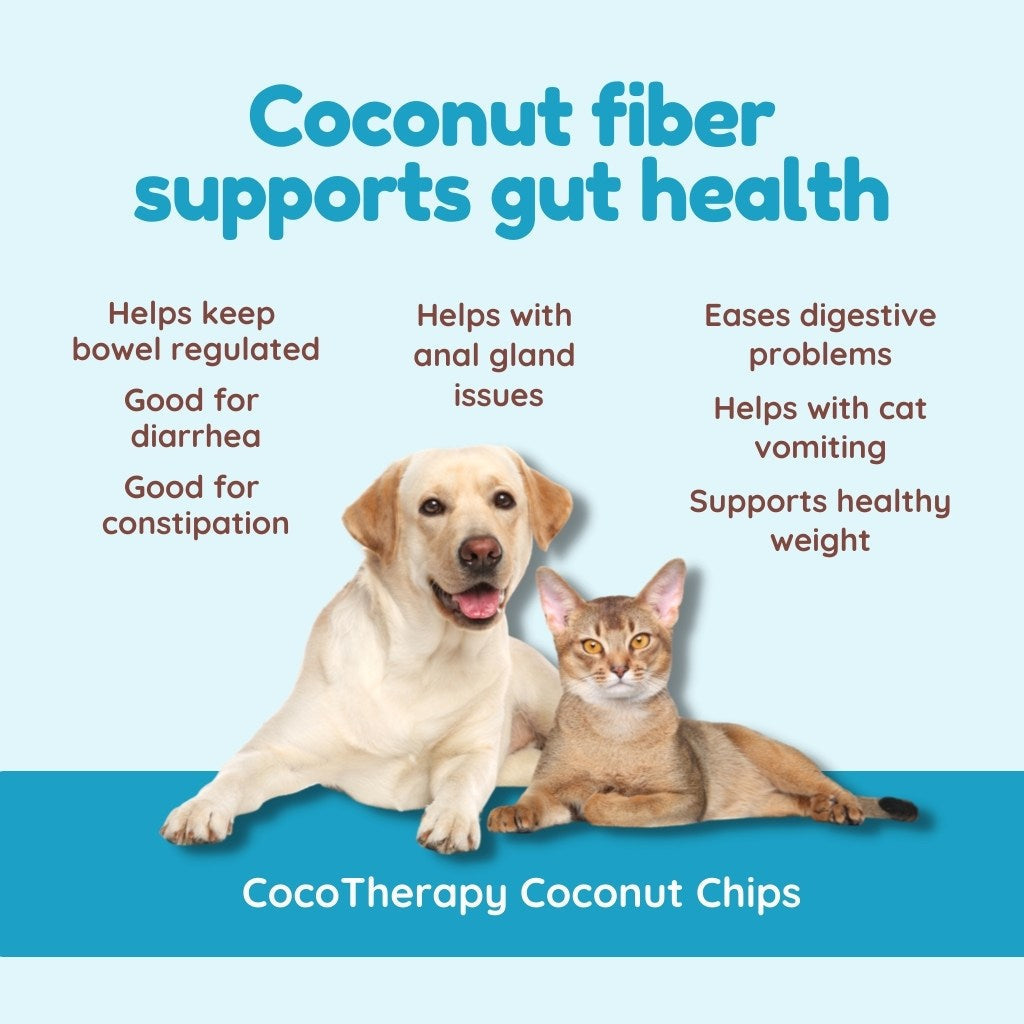 
                  
                    coco therapy - Coconut Chips – 6oz pouch
                  
                