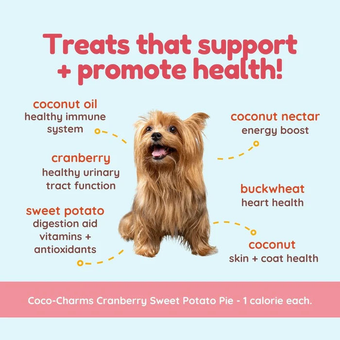 
                  
                    CocoTherapy - Coco-Charms Training Treats – Cranberry Sweet Potato Pie - 5 oz
                  
                