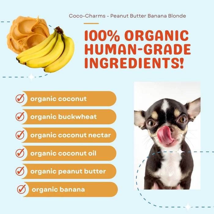 
                  
                    CocoTherapy - Coco-Charms Training Treats – Peanut Butter Banana Blondie - 5 oz
                  
                