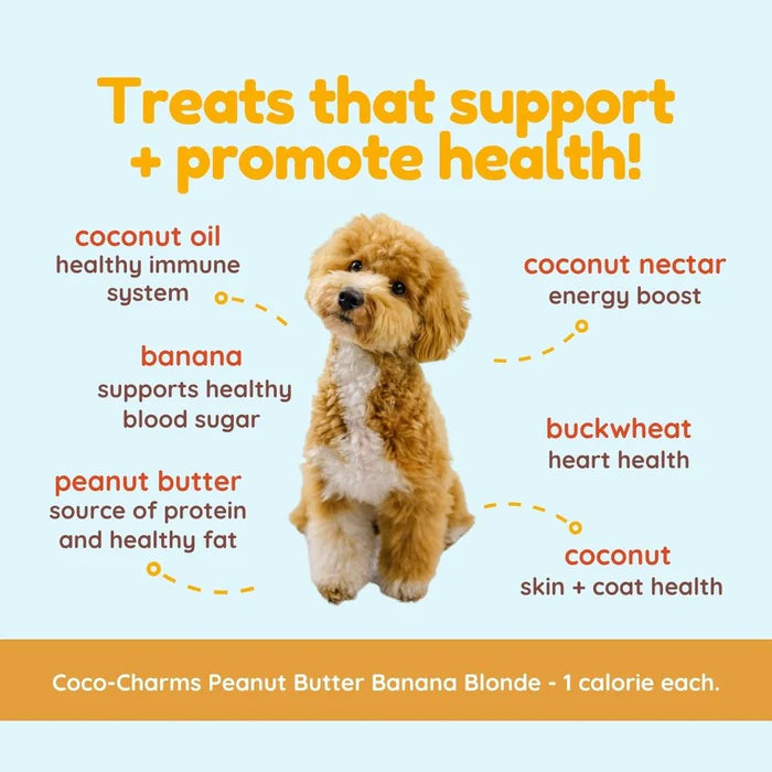 
                  
                    CocoTherapy - Coco-Charms Training Treats – Peanut Butter Banana Blondie - 5 oz
                  
                