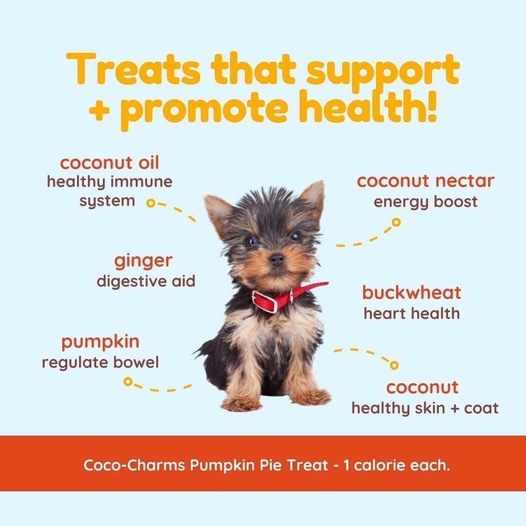 
                  
                    coco therapy - Coco-Charms Training Treats – Pumpkin Pie, 5 oz
                  
                