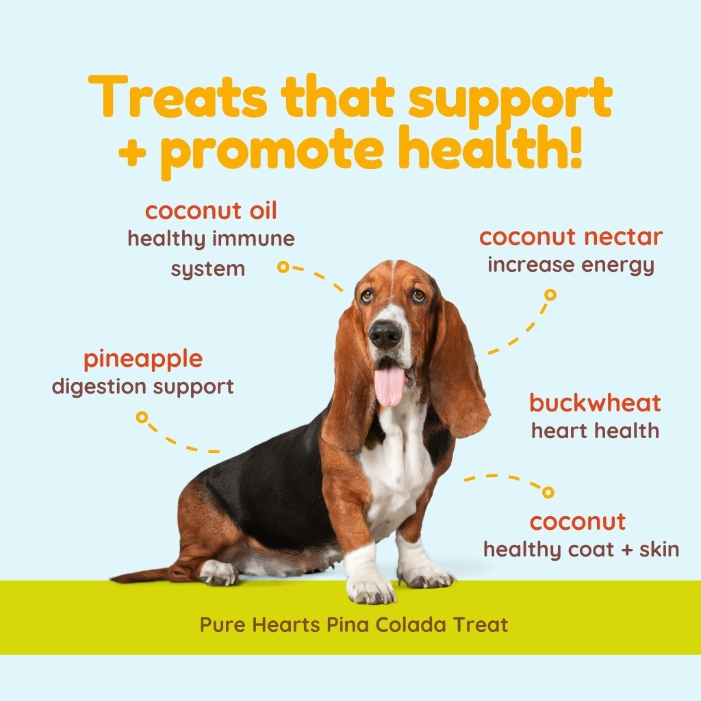 
                  
                    coco therapy - Pure Hearts, Coconut Cookies – Pina Colada, 5 oz
                  
                