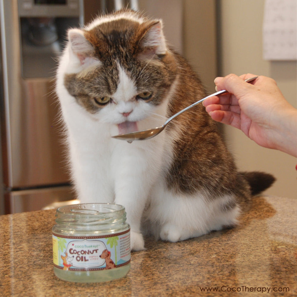 
                  
                    coco therapy - Coconut Oil
                  
                