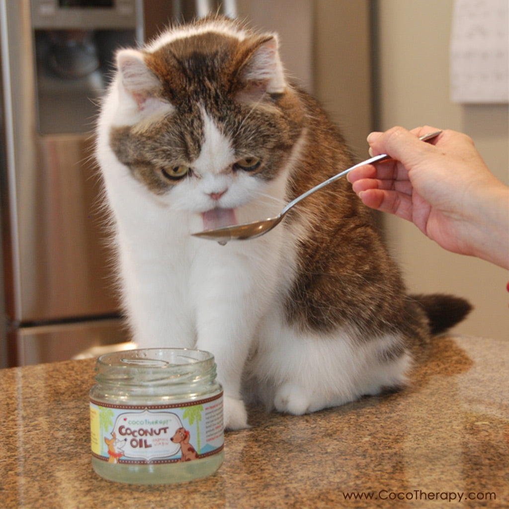 
                  
                    coco therapy - Coconut Oil
                  
                