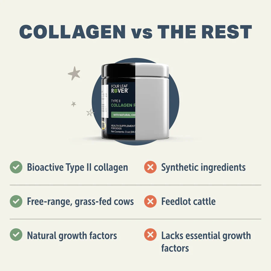 
                  
                    Collagen Peptides - Bone & Joint Support
                  
                