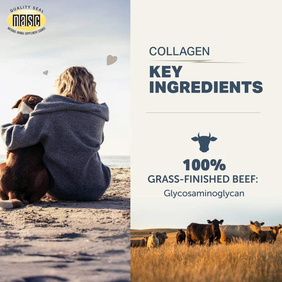 
                  
                    Collagen Peptides - Bone & Joint Support
                  
                