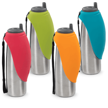 Messy Mutts - Double Wall Stainless Travel Water Bottle with Flip Up Bowl