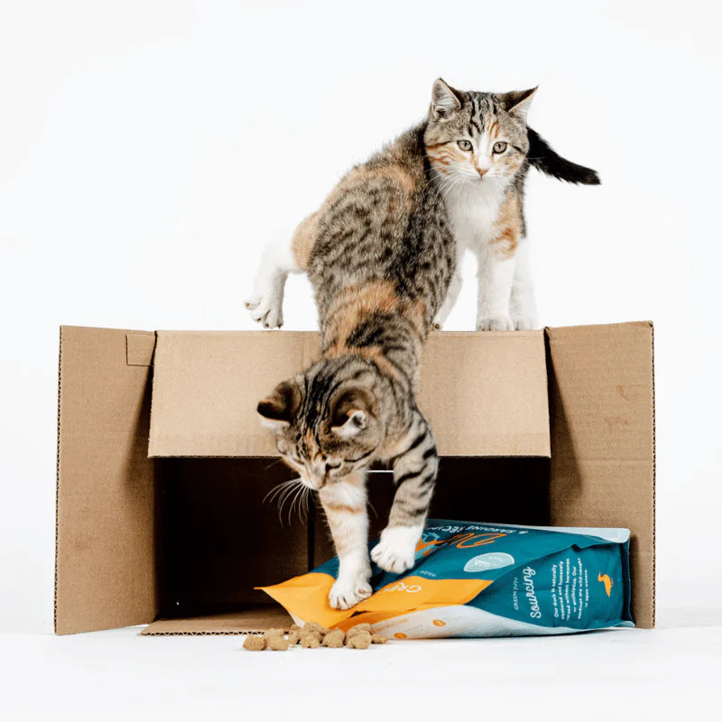 
                  
                    Green Juju - Freeze-Dried - Duck & Sardine - 14oz
                  
                