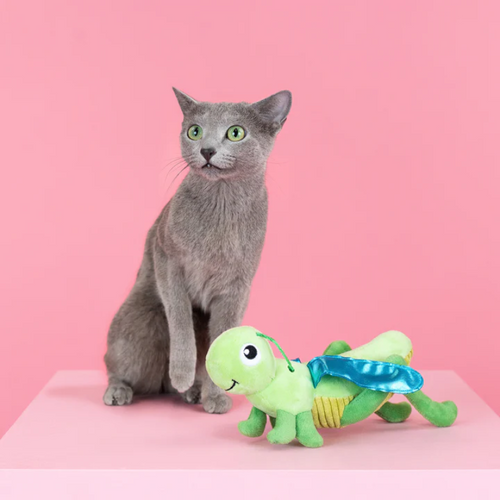 
                  
                    Fringe Studio - Hop On By Kicker Cat Toy
                  
                