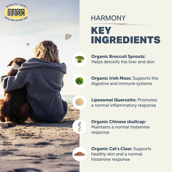 
                  
                    Harmony - Natural Skin Care For Dogs
                  
                