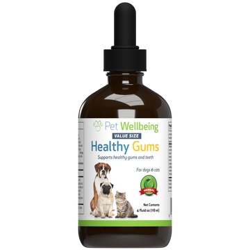 Healthy Gums - for Canine Periodontal Health