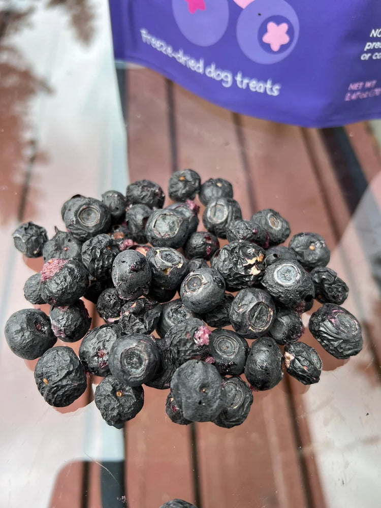 
                  
                    Dog Quality - Nibbles - Freeze dried - Blueberries
                  
                