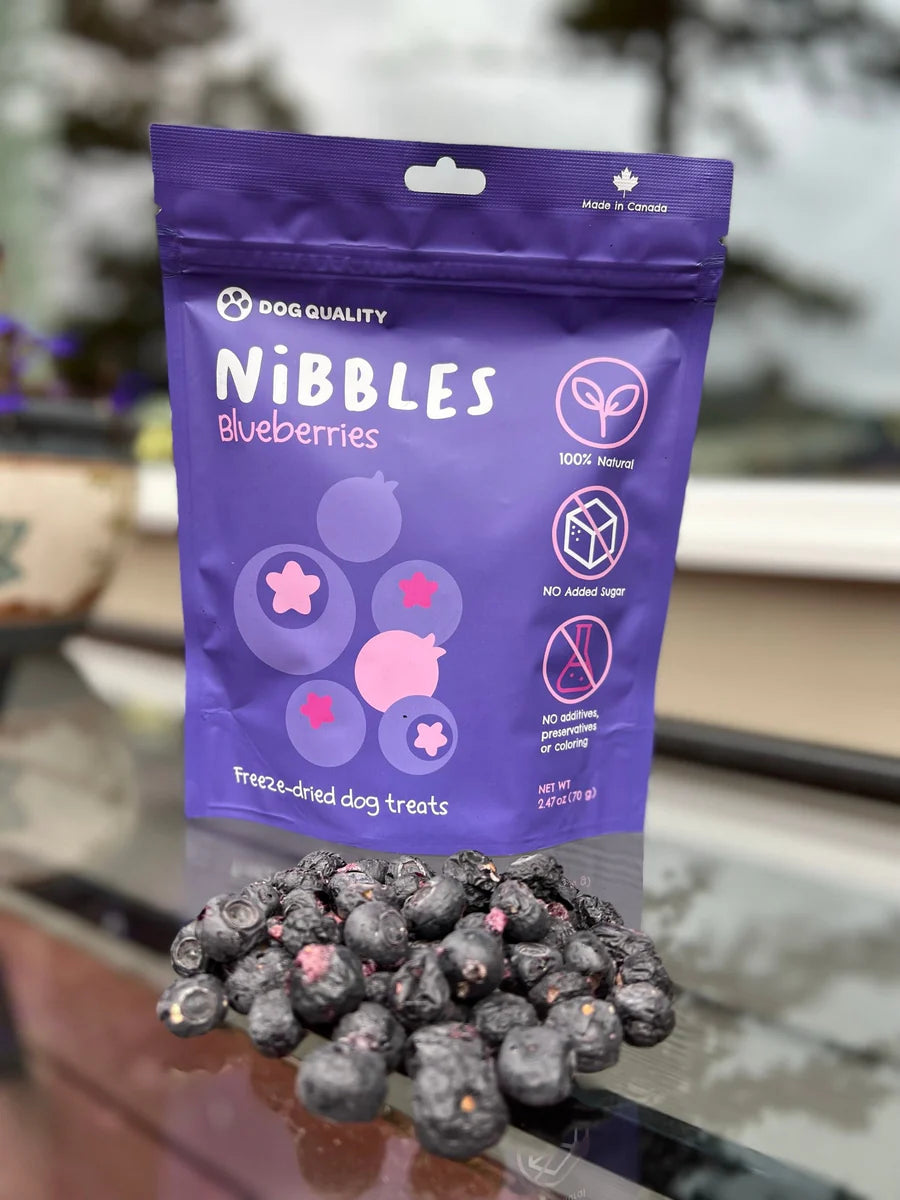 
                  
                    Dog Quality - Nibbles - Freeze dried - Blueberries
                  
                