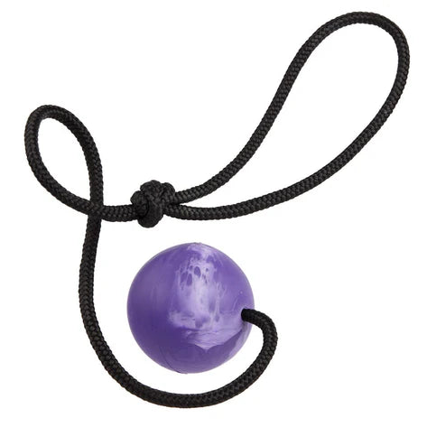 
                  
                    DOGLINE - Euro Ball with Rope
                  
                