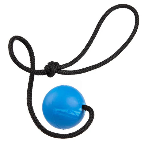 
                  
                    DOGLINE - Euro Ball with Rope
                  
                