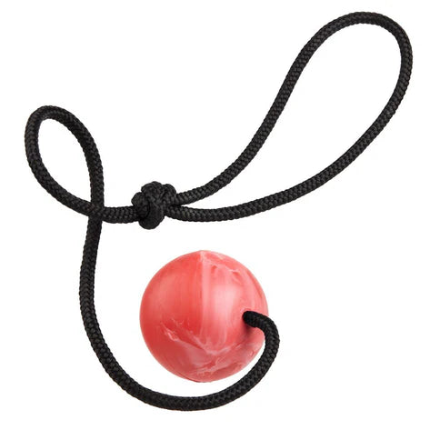 
                  
                    DOGLINE - Euro Ball with Rope
                  
                