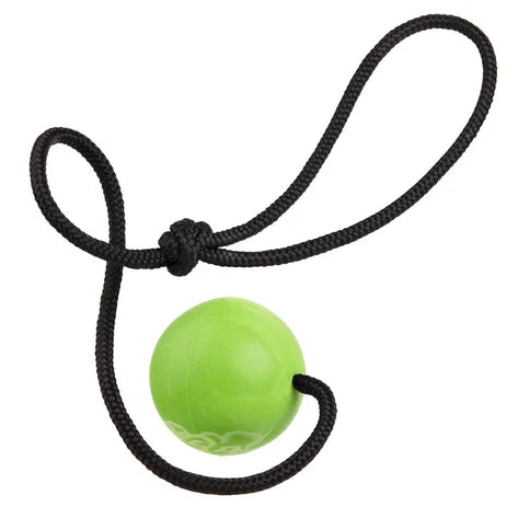 
                  
                    DOGLINE - Euro Ball with Rope
                  
                