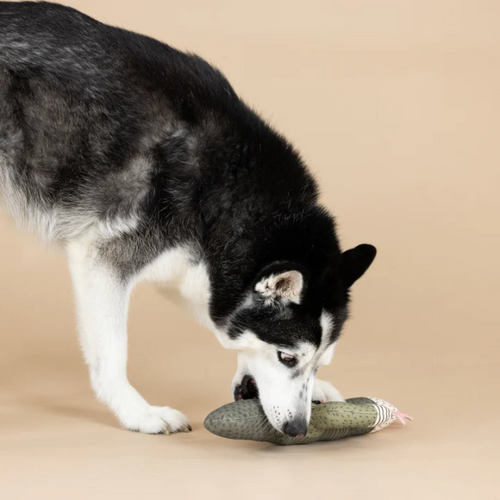 
                  
                    Fringe Studio - I Can Be Bit Prickly Canvas Dog Toy
                  
                