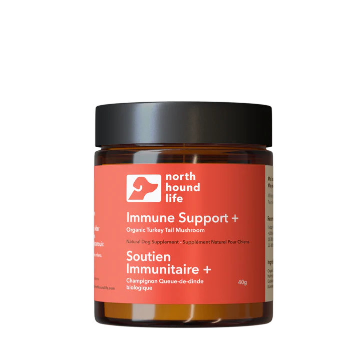 Immune Support+ - Turkey Tail Mushroom