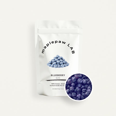 maplepaw LAB, Freeze-Dried Blueberry