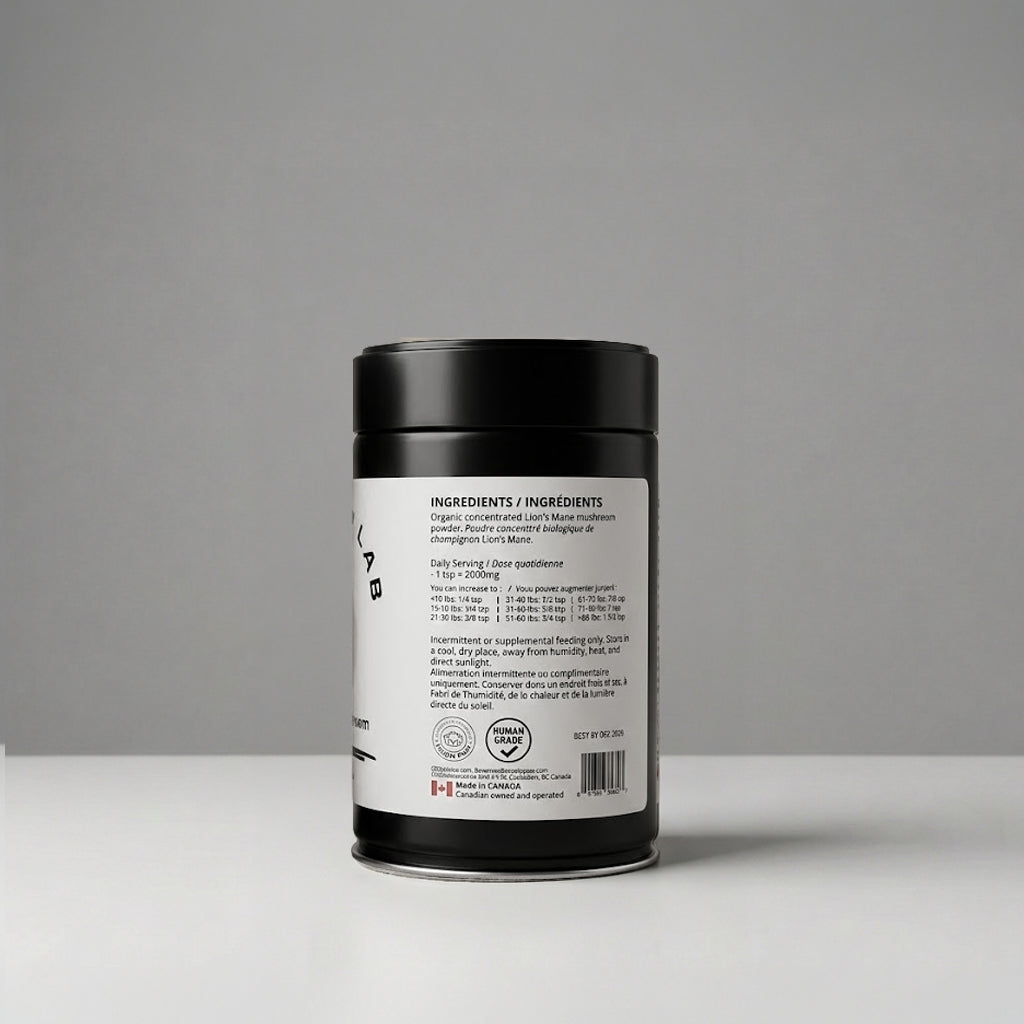 
                  
                    maplepaw LAB, Lion's Mane Mushroom, Cognitive Support, Calming Support
                  
                