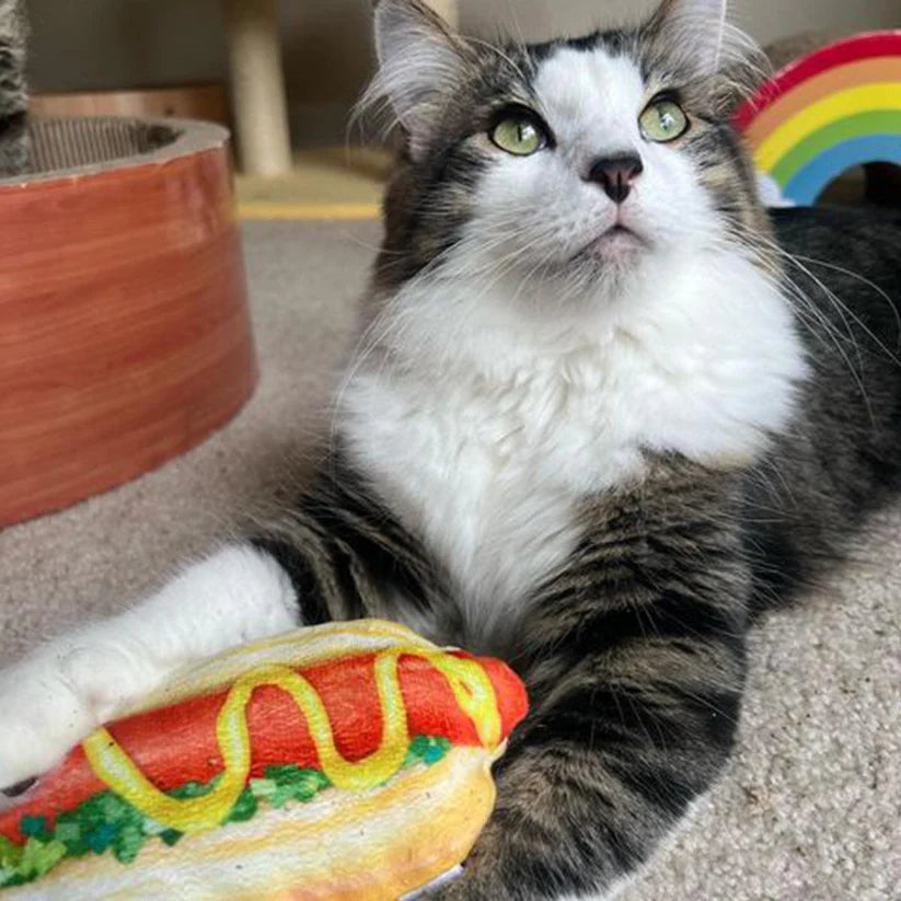 
                  
                    Meowijuana - "Get the Summer Pawty Started" Toy - Hot Dog
                  
                