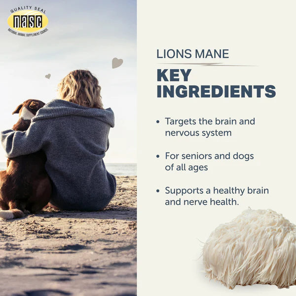 
                  
                    Lion's Mane - Organic Mushroom Extract
                  
                
