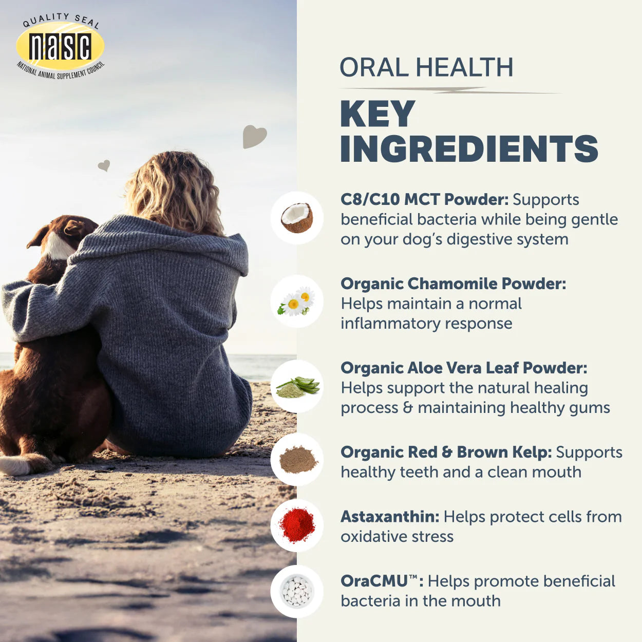 
                  
                    Oral Probiotic - Dog Dental Powder
                  
                