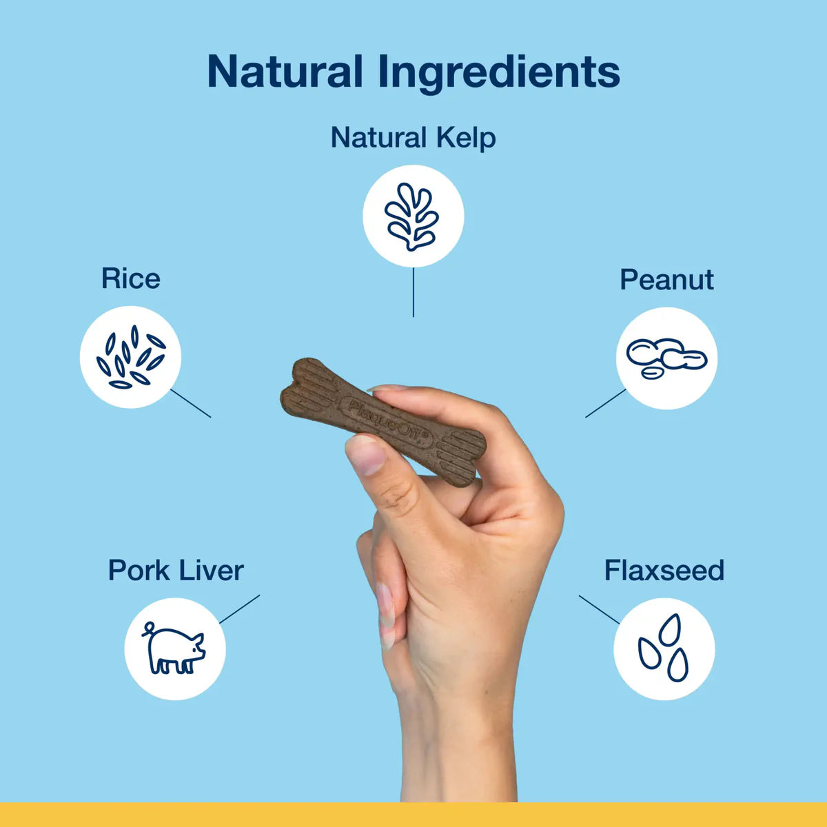 
                  
                    Plaque Off - Dental Care Bones - Mini - Peanut Butter and Banana
                  
                