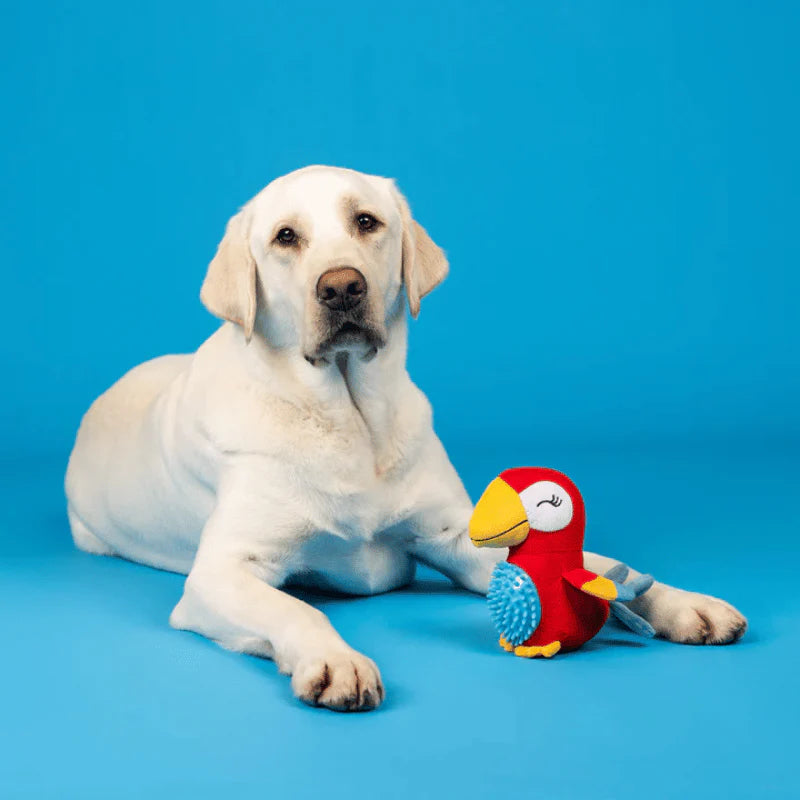 
                  
                    Fringe Studio - Dog - Toy - Plush - Perching Perfection
                  
                