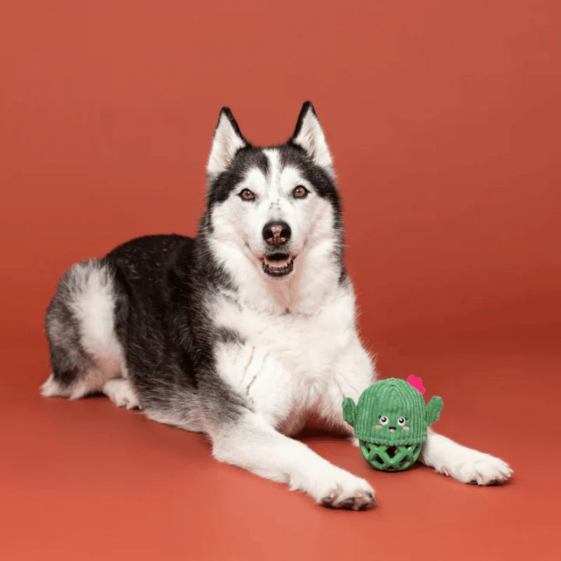 
                  
                    Fringe Studio - Dog - Toy - Durable - Rubber - Dura Club - Prickly But Sweet
                  
                