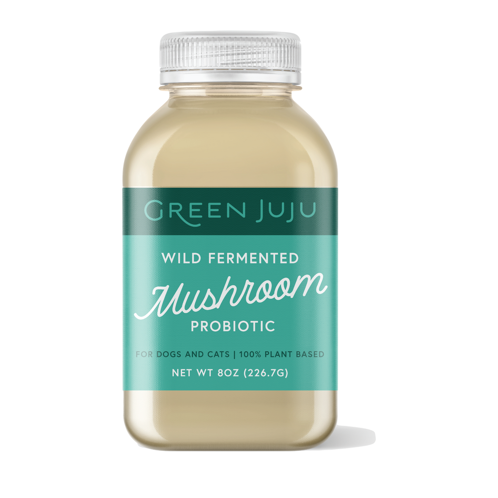 Green Juju - Wild Fermented Mushroom Probiotic (Frozen Food) (Only Deliver to Metro Vancouver)