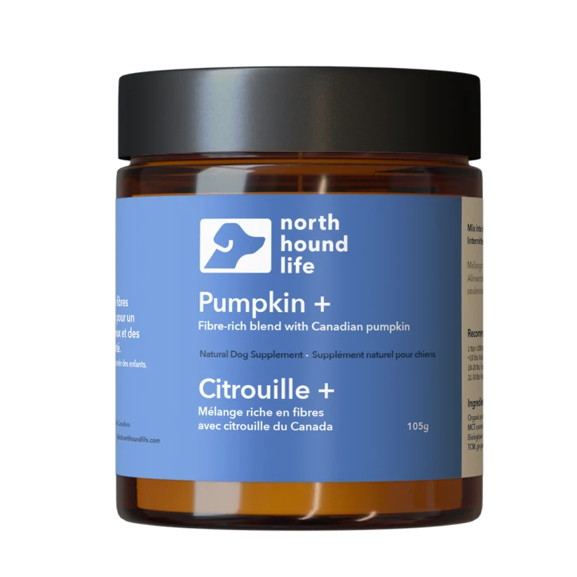 
                  
                    Pumpkin +
                  
                