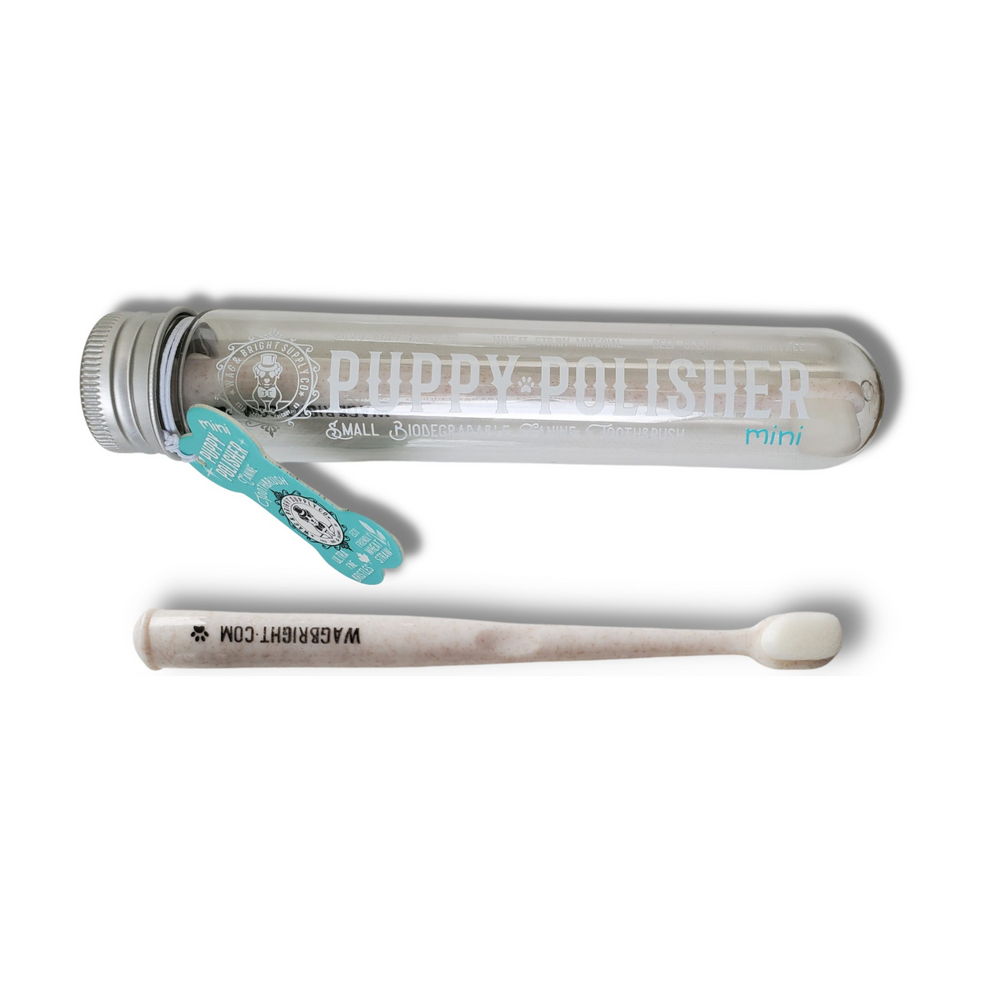 
                  
                    Wag & Bright - Polisher Eco Toothbrush
                  
                