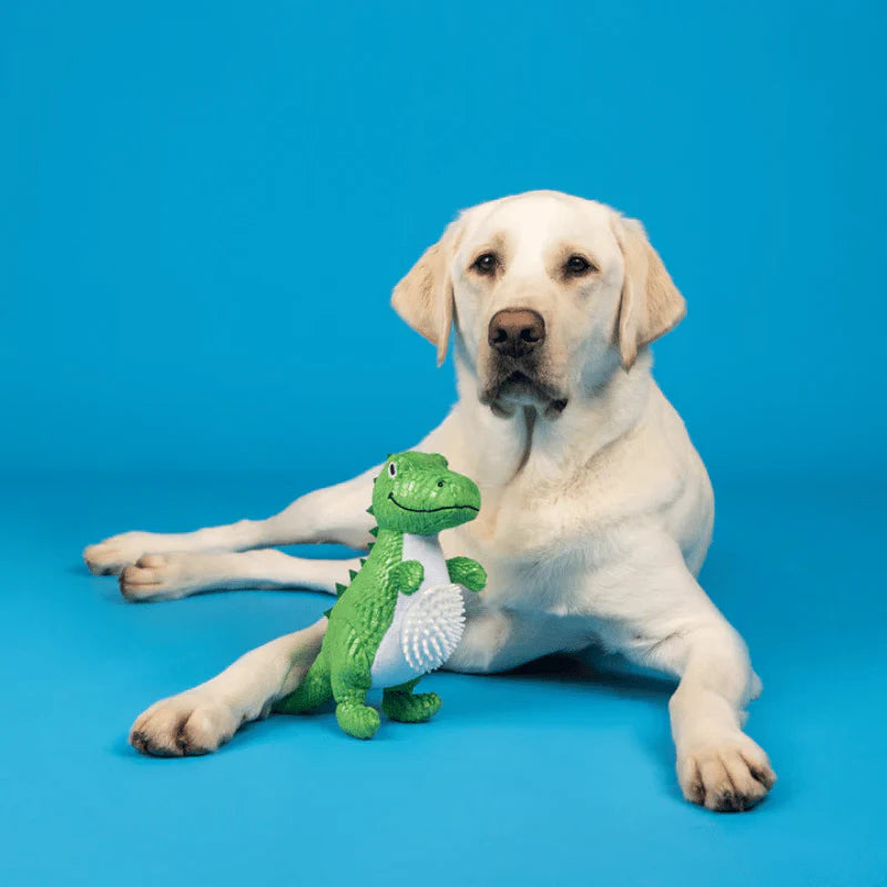 
                  
                    Fringe Studio - Dog - Toy - Plush - Roar and Explore
                  
                