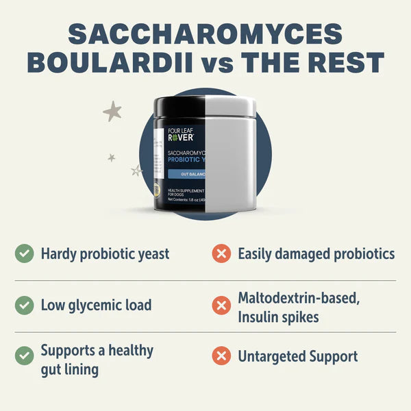 
                  
                    Saccharomyces boulardii - Yeast-Based Probiotics For Dogs
                  
                