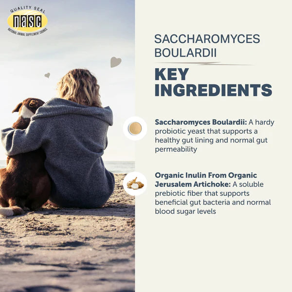 
                  
                    Saccharomyces boulardii - Yeast-Based Probiotics For Dogs
                  
                