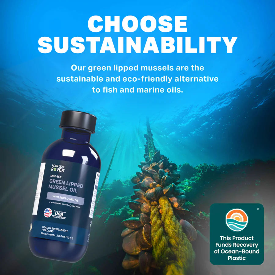 
                  
                    Safe-Sea - Green Lipped Mussel Oil For Dogs
                  
                