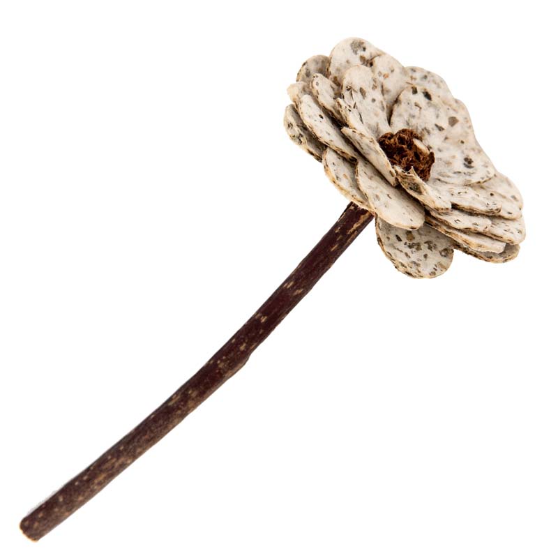 
                  
                    Natural Cat Toy - Catnip Paper Flower
                  
                
