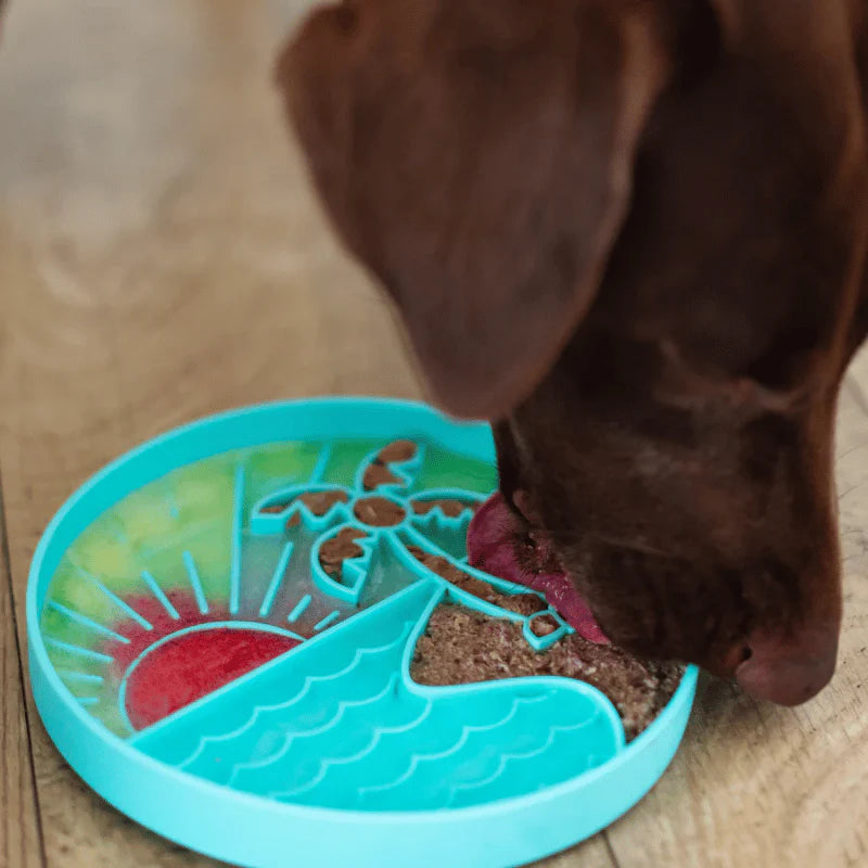 
                  
                    Messy Mutts - Interactive Bowl - Silicone - Teal Beach Pattern
                  
                