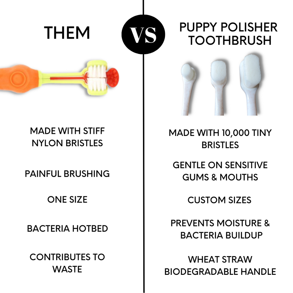 
                  
                    Wag & Bright - Polisher Eco Toothbrush
                  
                