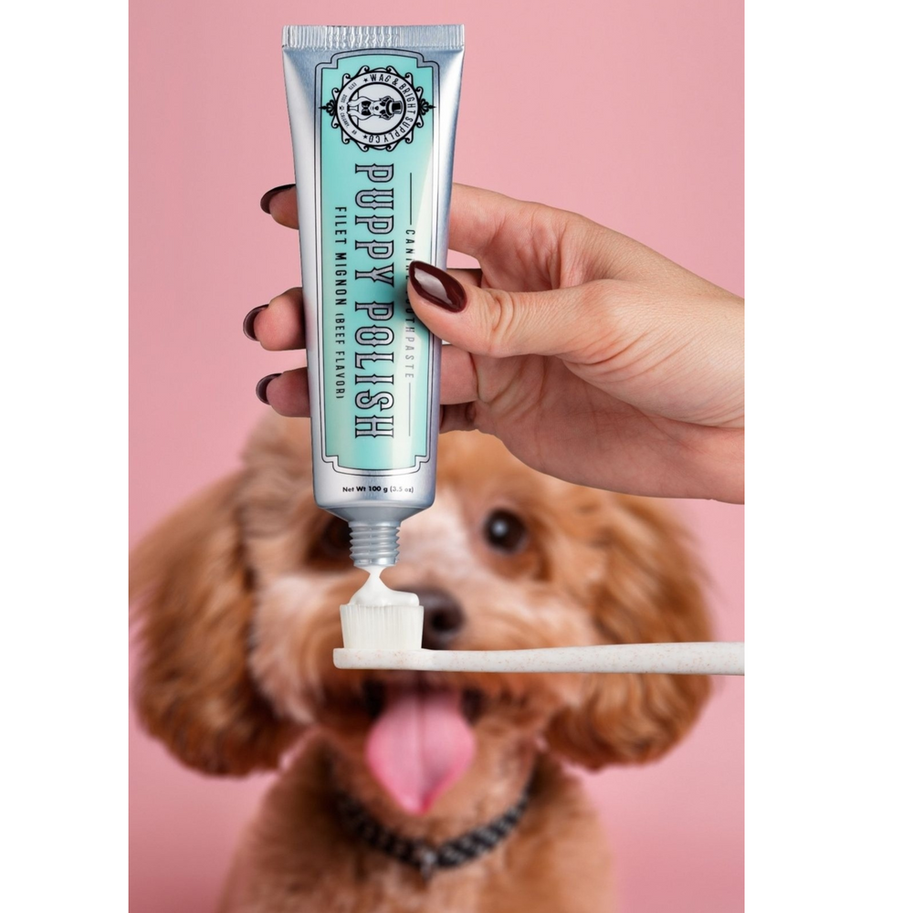 
                  
                    Wag & Bright- Puppy Polish - Natural Canine Toothpaste - Filet Mignon (Beef)
                  
                