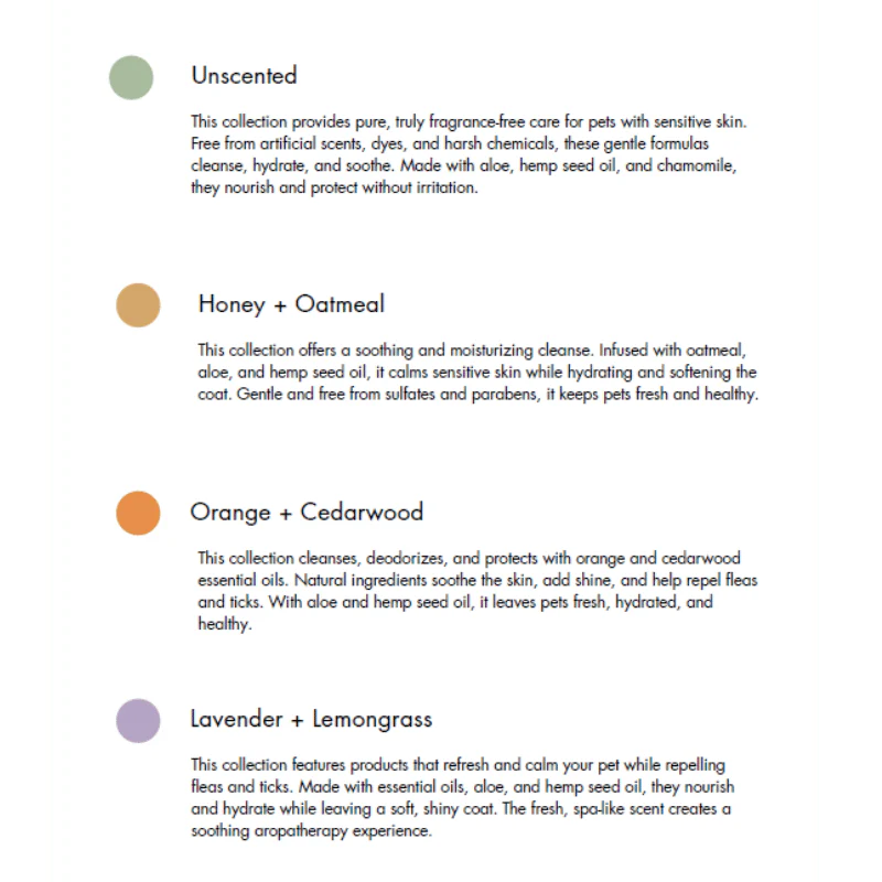 
                  
                    TRUE NORTH - Spray - Magnesium - Unscented - 118ml
                  
                