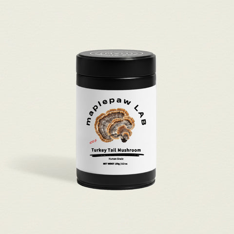 maplepaw LAB, Turkey Tail Mushroom, Immune Support