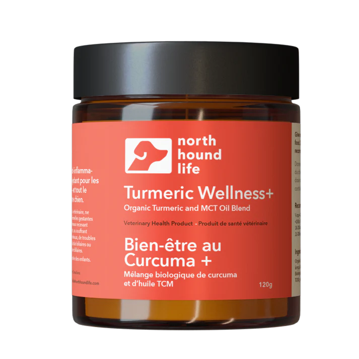 Turmeric Wellness+
