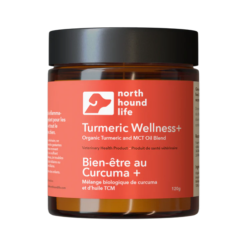 Turmeric Wellness+