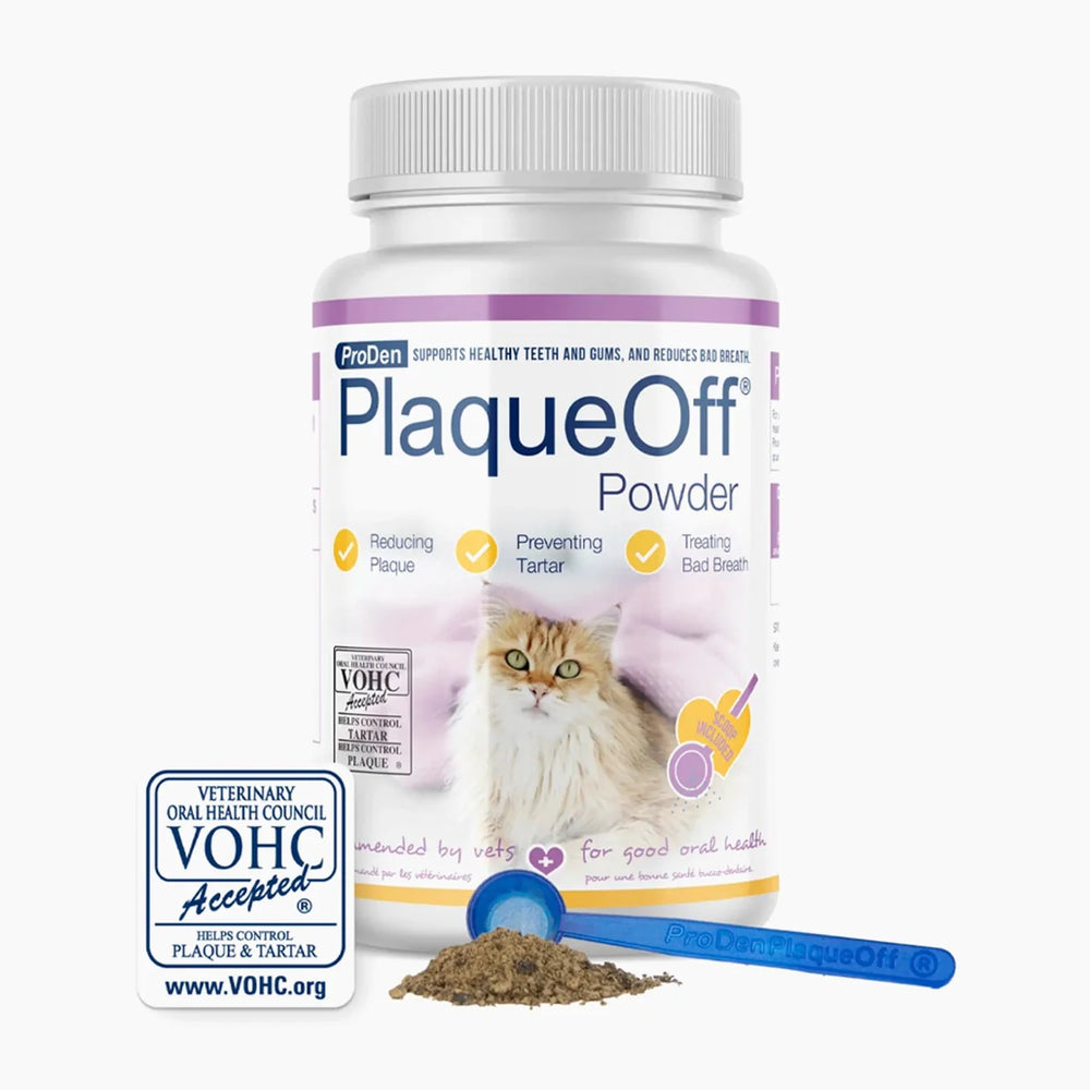 Plaque Off - ProDen Dental Powder 40g - Cat (10% Brewer's Yeast)