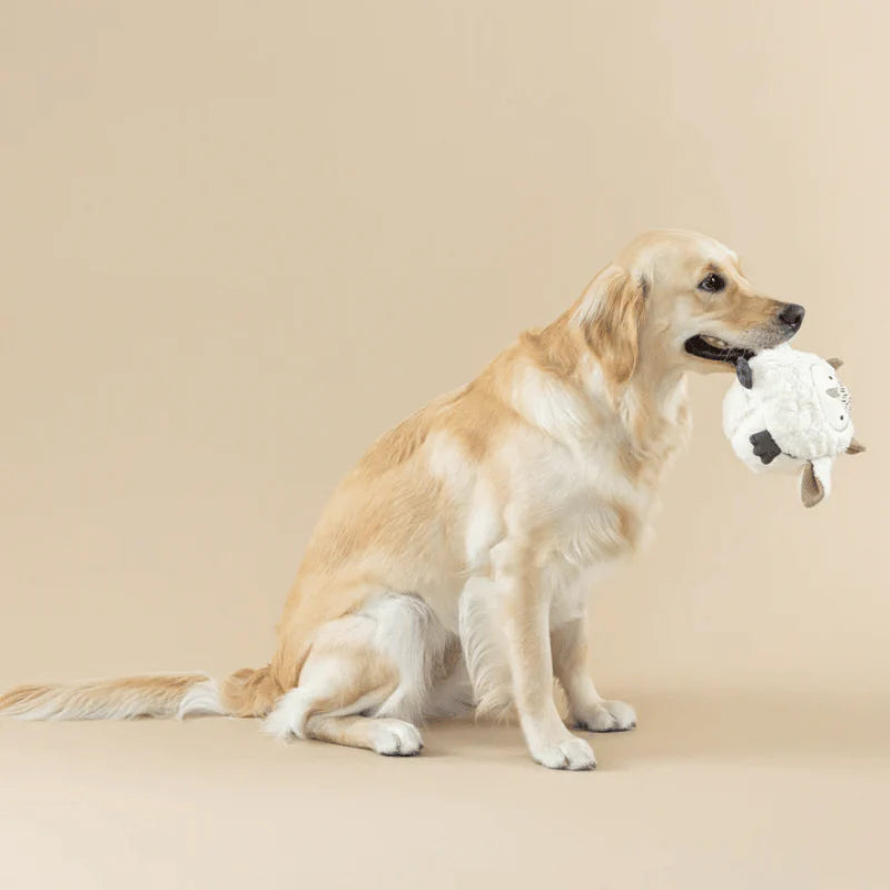 
                  
                    Fringe Studio - Dog - Toy - Earth Friendly - Whoooo's There 3D
                  
                
