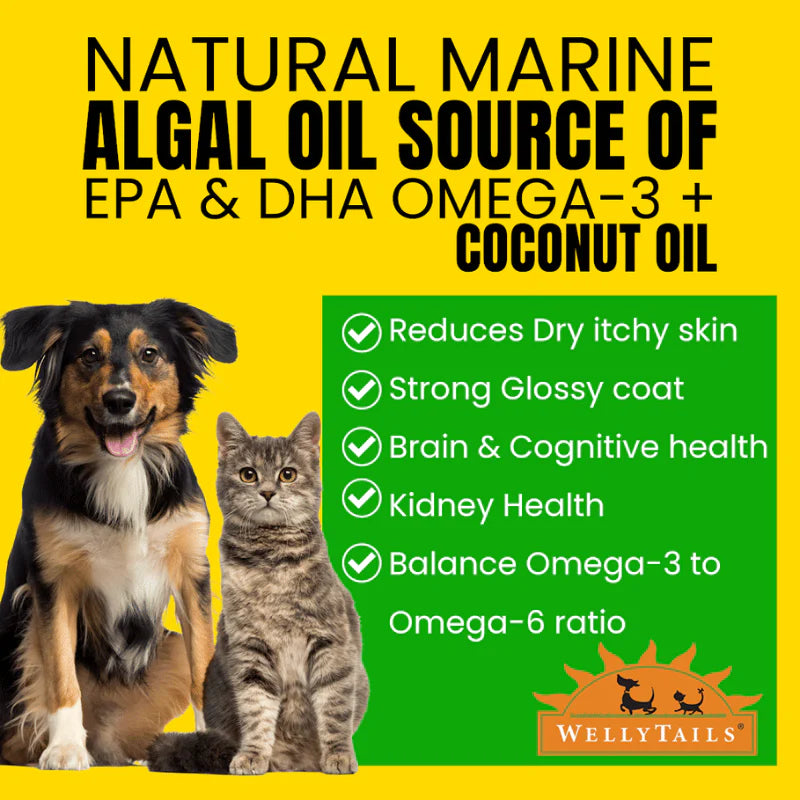 
                  
                    Welly Tails - Mature Harp Seal Marine Oil - 400ml
                  
                